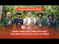 Download Lagu Gak Kalah Saing! Cokelat Made in Indonesia Gemparkan Asia Tenggara