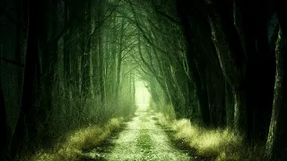 The Other World A - Adventure Game