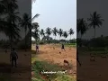 Download Lagu vettai🔥 dog 🦮🦮 whatsapp status video tamil/ @mahendran_official_07
