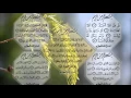 Download Lagu AyatulKursi \u0026 4 Qul Shareef ( Saad Al-Ghamidi )