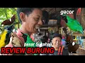 Lagu REVIEW HARGA BURUNG ‼️ PASAR SUKAHAJI BANDUNG HARGA MULAI DARI 40 RIBUAN 