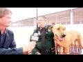 Sheriff Space Coast Daily Partner For Animal Services