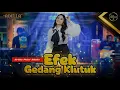 Download Lagu OM ADELLA - EFEK GEDANG KLUTUK ( Arlida Putri ) lagu adella terbaru 2022 MP3