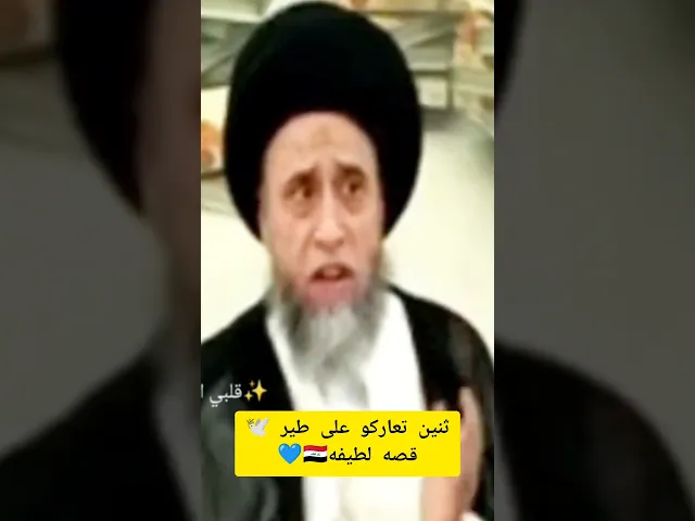 ⁣قصه لطفيه وجميله عركه علمود طير🕊😁سيد صباح شبر