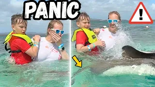OWEN PANICS - Stingrays!