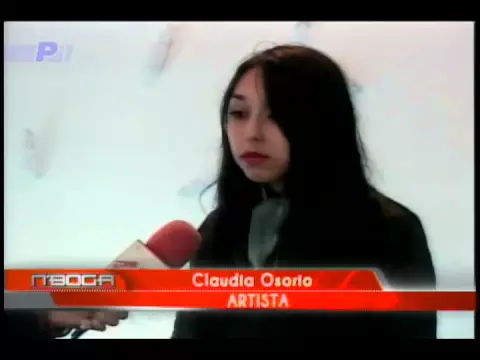 Muestra Puro Chile en el museo de Arte Moderno