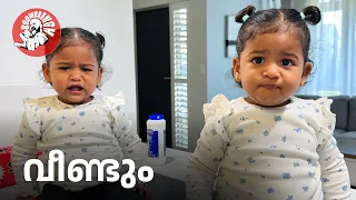 Daily Vlog EP.215 | വീണ്ടും  | Family Vlog | Malayalam | @BoomBaangh