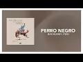Bad Bunny, Feid - PERRO NEGRO [ Letra/Lyric ]