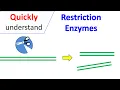 Restriction Enzymes