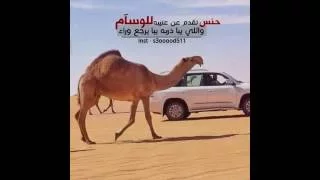 أجهر بصوتك يا مهنا ما تلام  صو ت على العتبان قدام البرا           دندنها