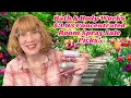 Bath Body Works 3 95 Concentrated Room Spray Sale Picks