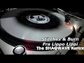 Stitches and Burn - Fra Lippo Lippi (The Shaqwave Remix)