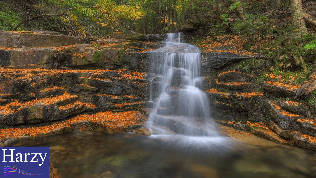 DM Galaxy - Paralyzed (feat. Tyler Fiore) (NCS Release) [1 Hour Version]