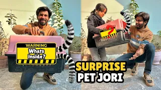 Anokhay Pets Ki Jori Agaye! 🙀