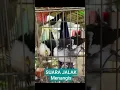 Download Lagu SUARA BURUNG JALAK MENIRUKAN BAYI NANGIS