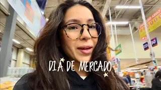 QUANTO EU GASTEI NO MERCADO DA SEMANA?