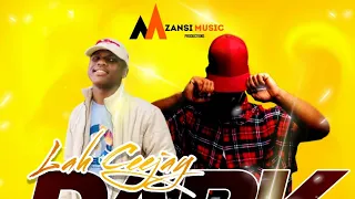 lah ceejay dark angels feat anonymous rsa 