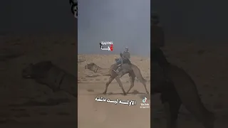 يالعين لك بالهوى لفته منتي على دين الاخواني دندنها