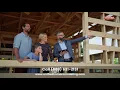 Are Casement Windows the Best Option for Your Long Island Home