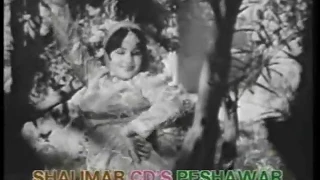 gulnar begum a biographical note da ghaz da maidan 13