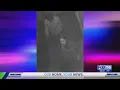 Lexington police looking for burglary suspect