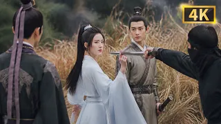 女侠遇袭，刺客看清她的脸竟吓到腿软：她可是天下第一！！ |【且试天下 Who Rules The World】| ENG SUB | #杨洋 #赵露思