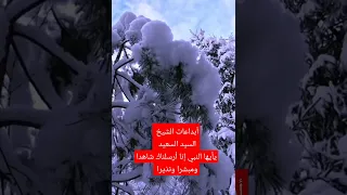 قران كريم الشيخ السيد السعيد يايها النبي انا أرسلناك شاهدا ومبشرا ونذيرا 
