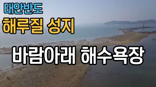 태안 해루질 성지 바람아래 해수욕장 썸네일