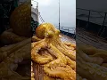 AI draws a golden octopus riding the waves - what did you see