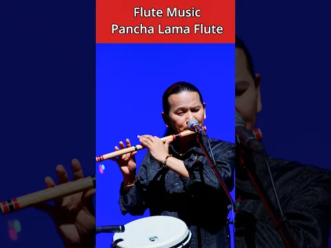 Bossa Nova | Flute Music | Bansuri Tabla | Basuri Dhun | Instrumental Music | #flute #flutemusic