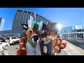 Anthro New England 2026 ANE 2026 - Random Clips