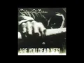 Children Of Bodom - Punch Me I Bleed (Guitar Backing Track, Original Vocals)