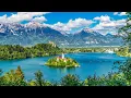Download Lagu Relaxing Music Treats Diseases of the Heart and Blood Vessels🌿Music For Health