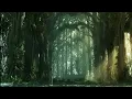 Lisa Gerrard - Now We Are Free