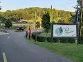 Woods Tall Timber Resort Review