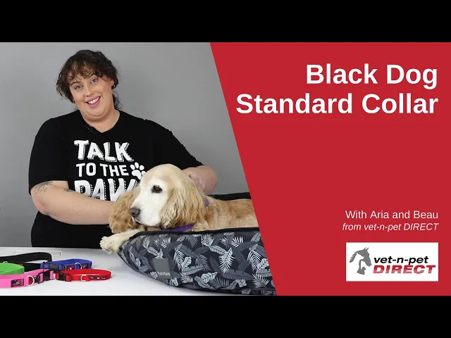Black Dog Wear Collar - Standard