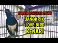 Lagu KACER GACOR KONSLET BONGKAR ISIAN JANGKRIK LB KENARI !! PANCINGAN KACER GACOR PASTI NYAUT AMPUH.