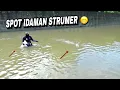 Lagu ngeri..! saat mancing nemu ikan gabus kelaparan bergerombol
