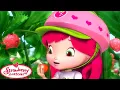 Download Lagu Strawberry Shortcake 🍓 The Berry Big Harvest!! 🍓 Berry Bitty Adventures 🍓 Cartoons for Kids