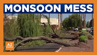 People in Yuma dealt with flooding power outages following storm