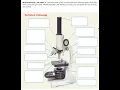 Chapter 1 Lesson 1 Microscope Lab Quiz