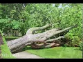 Storm Damage And Repair in Coldwater MI - May 23rd 2019