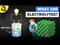 What Are Electrolytes