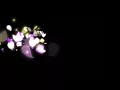 50日背遊中美/背遊中亞/背遊摩洛哥 片尾歌BGM