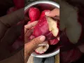 Download Lagu Super Sweet Jamaican Guava #farming #jamaicanguava #gardeningtips #modernfarmers #fyi
