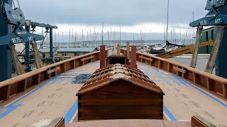 Tally Ho out in the BIG WIDE WORLD!