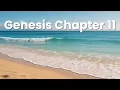 Genesis Chapter 11 - NIV Bible Bible book