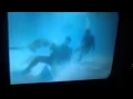 Steve Erwins death