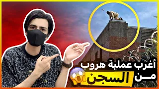 هروب مرعب ومستحيل 