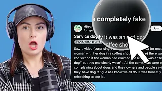 I Read Reddit s WORST Takes About Service Dogs